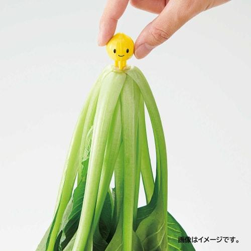 Bestco Cogit Stock Vegetables, Keeps Vegetables Fresh and Crisp, Core-Stick, Chibi Veggie Shaki-chan, Set of 2