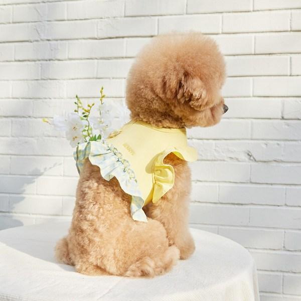 Benny's Pet Picnic Frill Harness, Purple