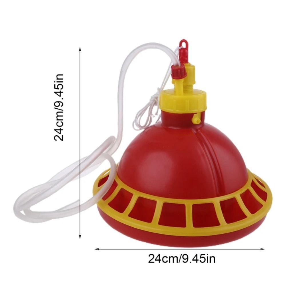 Automatic Poultry Water Dispenser Durable Fountaion Kettle Chicken Feeder Quails