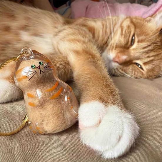 Cat Hair Storage Bottle Transparent Pet Fur Keepsake Capsule for Collecting Cat And Dog Hair Pet Memorial Urns Keychain for Cats Lover