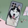 Animal Wolf Dog Husky For Samsung Galaxy M23 M12 M13 M14 M15 M35 M55 M34 M54 M33 M53 M31 M11 M32 M52 M06 M16 Case