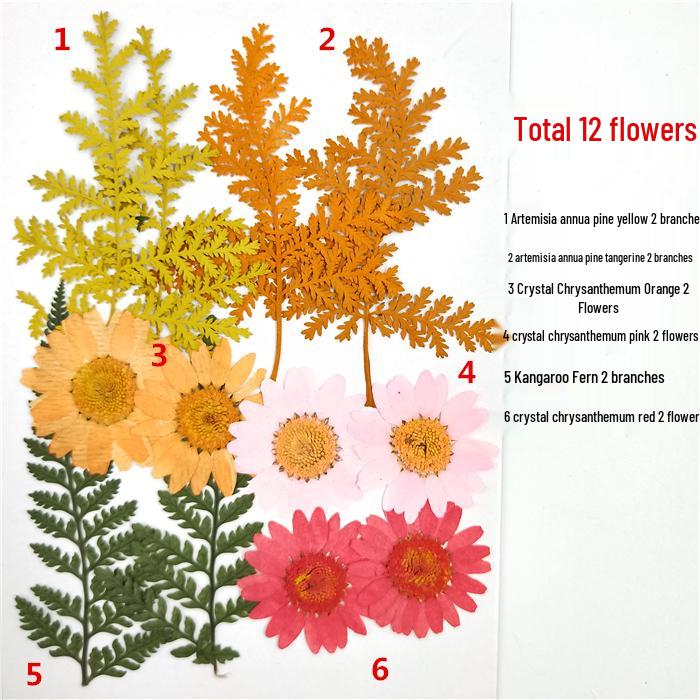 Handmade Kindergarten Collage: Real Dried Leaf and Flower Stickers for Face and Photo Decoration