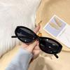European and American Retro Style Unisex Fashionable Y2K Sunglasses Trend Versatile Summer Sun Shading UV400 Lightweight Frame
