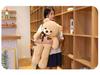 Large Cute Teddy Bear Plush Toy - Sleeping Doll Pillow for Girls
