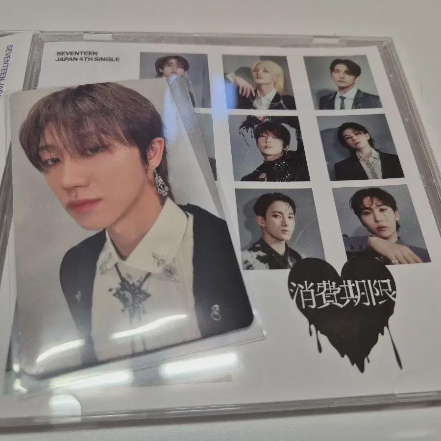

Seventeen Expiration Date Flashfly Name