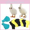 Durable Poultry Boots For Ducks And Geese Ideal For Outdoor Activities In Various Colors