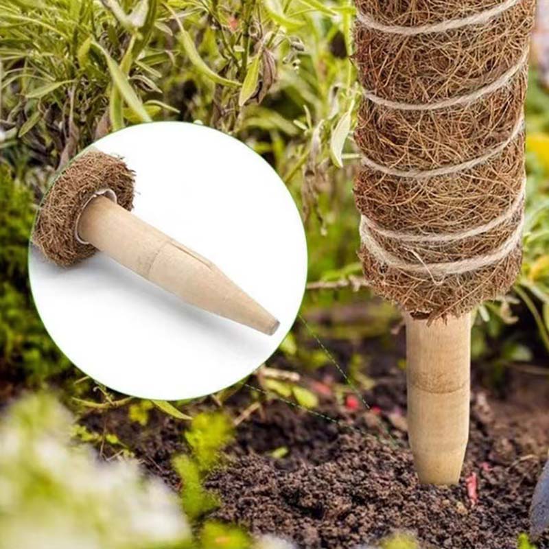 Plant Climbing Trellis Support Stakes Climbing Plant Support Stick Gardening Support Frame Flower Stand