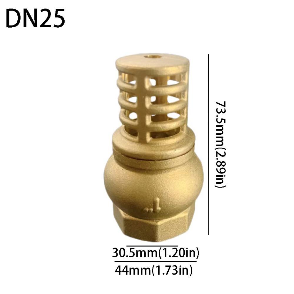 Strong Metal Brass Foot Valve Female Thread Check Valve Strainer Filter Complete Specifications