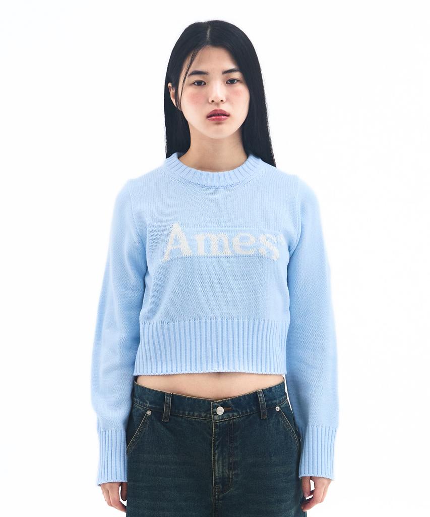 AMES-WORLDWIDE Basic Pullover Knit Light Blue
