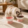 Ceramic Elevated Cat Bowl Anti-Vomiting Raised Pet Feeder Pet Food Water Bowl  Pet Supplies