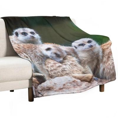 Família suricata(pintura digital) Cobertor de luxo Cobertor de luxo para sofá Cobertor de bebê Cobertor de piquenique