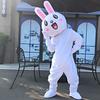 Cartoon Animal Mascot Costume
