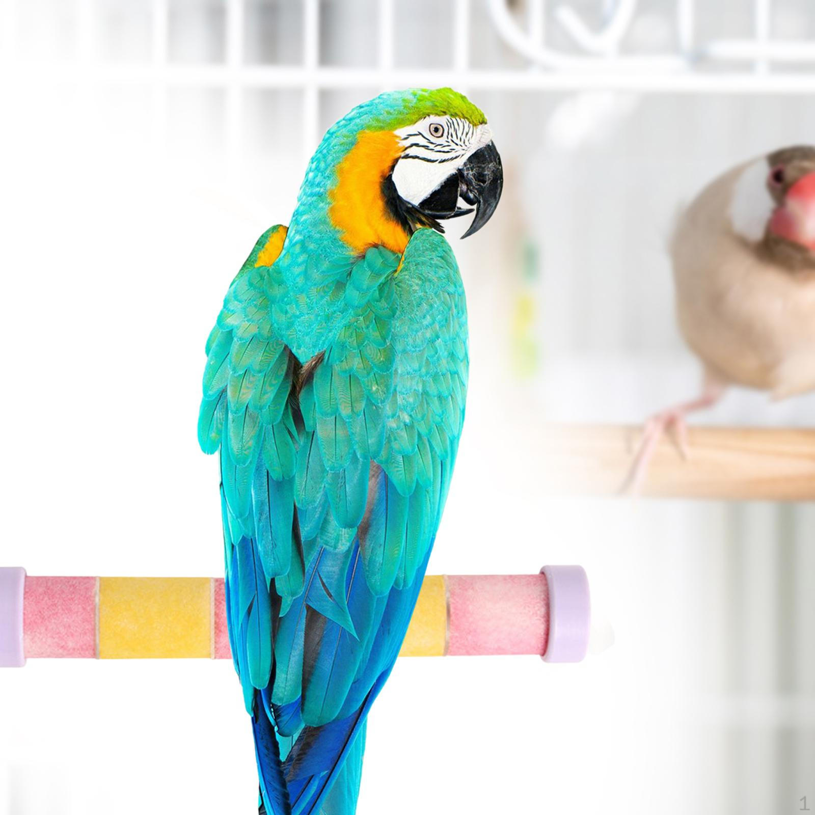 

Жердочка для попугаев, аксессуары для клеток волнистых попугайчиков и канареек violet fixer