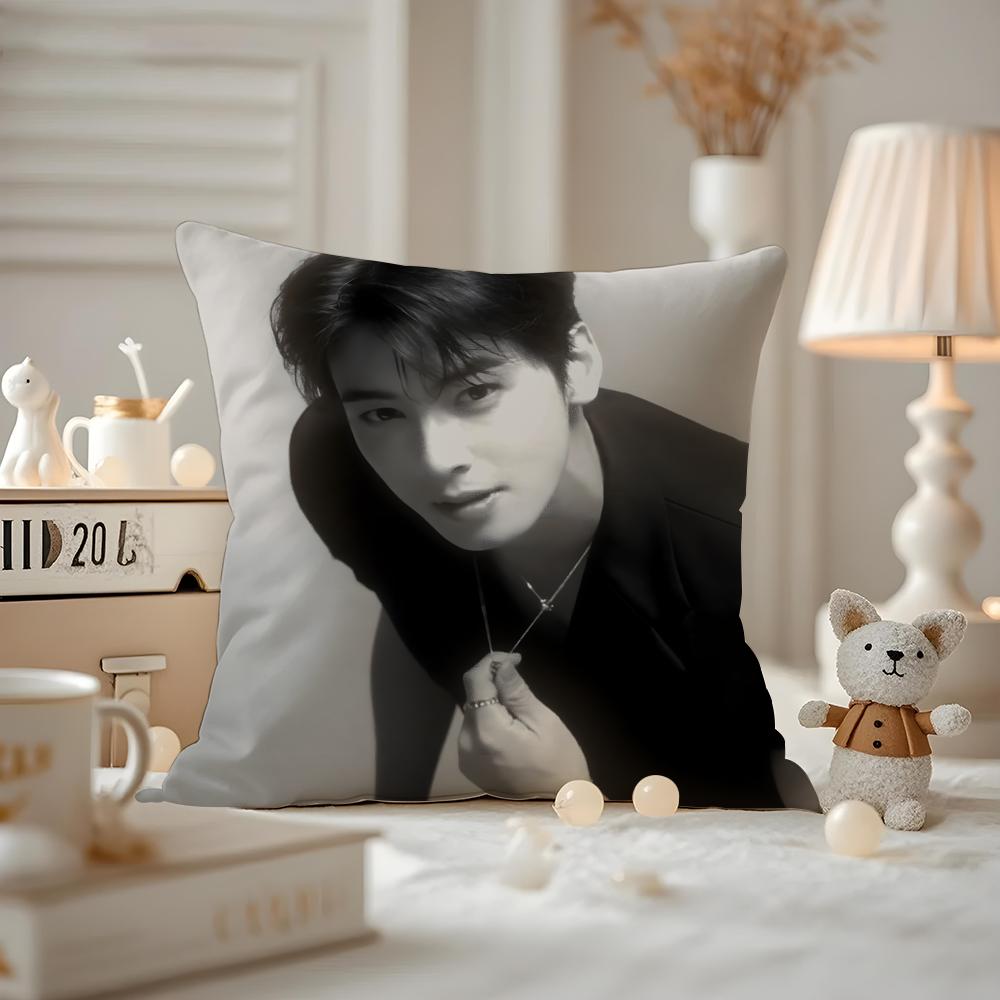Cha E-E-Eunwoo Actor Cushion Cover Pattern Printed Pillowcase For Living Room Sofa Cushion Cover & Bedroom Decor