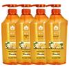 Bienenblüten-Ingwer Stärkendes Shampoo