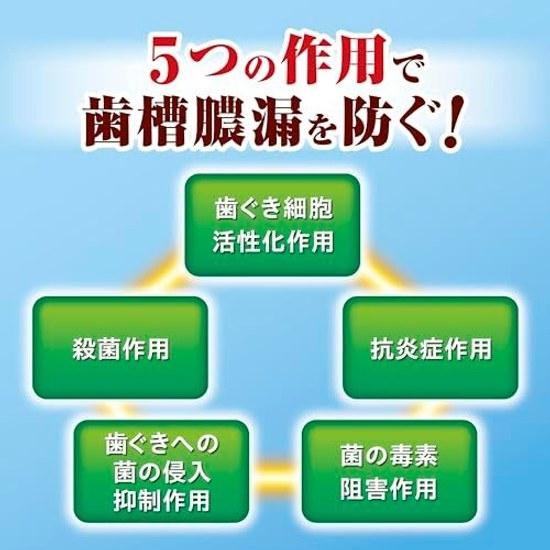 Shoyou Breath Refreshing Type Medicinal Toothpaste Prevents Periodontal Disease Japanese Herbal Flavor Persistent Bad 100g Quasi-Drug