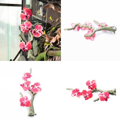 Pesci e animali marini – Scenografie per acquario