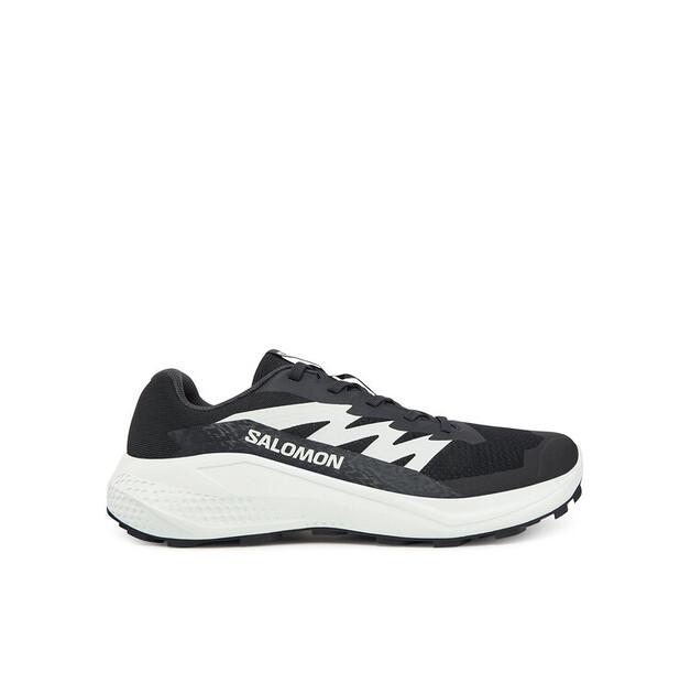 Беговые кроссовки Salomon Alphaglide EU 40_2_3