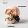 Halloween Rose Skull Model Ornament Small Night Light For Decoration Room