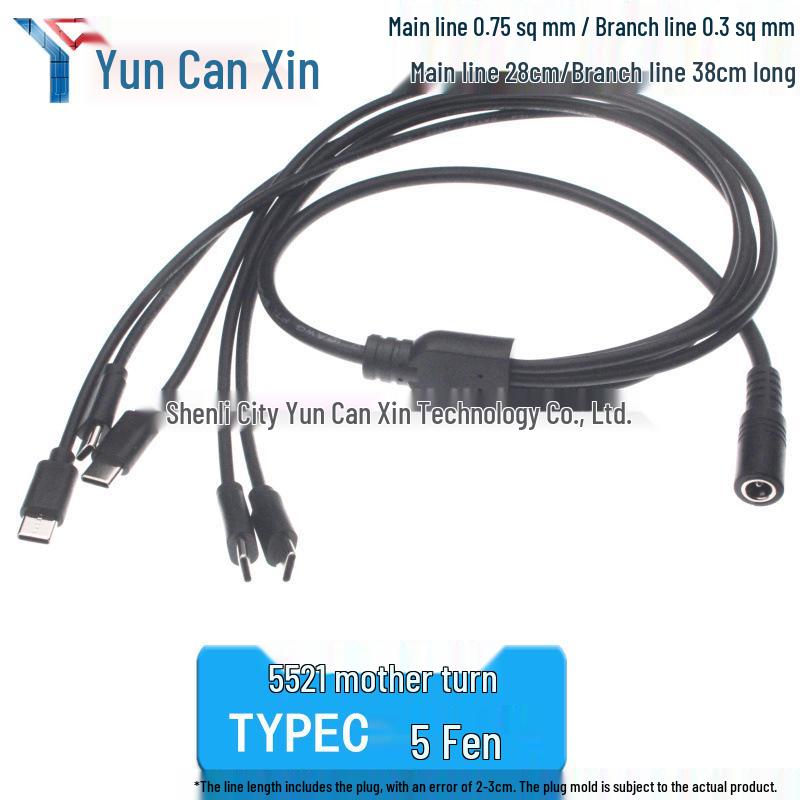 0.3m Type-C Dual-Core 3A Fast Charging Cable with Tinned USB-C Male Connector