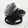 Feather Headwear Hair Accessories Masquerade Hair Band  Stage Performance Hair Band