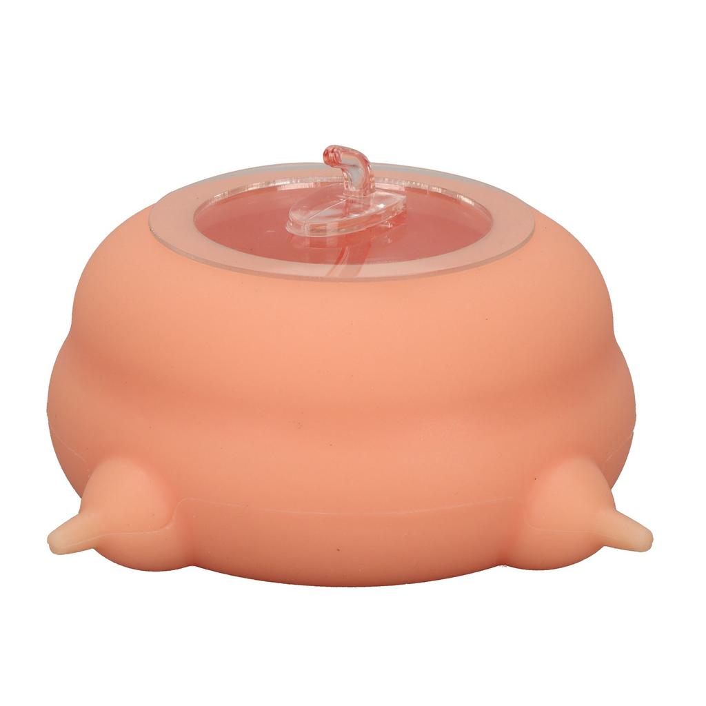 Puppy Milk Feeder Bowl 200ml Simulation Puppy Nursing Station Nipple Feeder with Suction Cups for