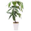 Ninian and Kino Faux Green Pachira In a 50cm Plastic Artificial Houseplant with a Realistic No Care Will Not Indoor Decorative Perfect for Living and