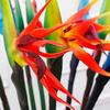 Künstliche Blumen Paradiesvogel Dauerhaft Realistisch Dekorative Falsche Paradiesblumen Pflanzen für Innen Sonnenuntergangsrot