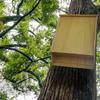 Large Box Professional Handcrafted Supplies Outdoor
