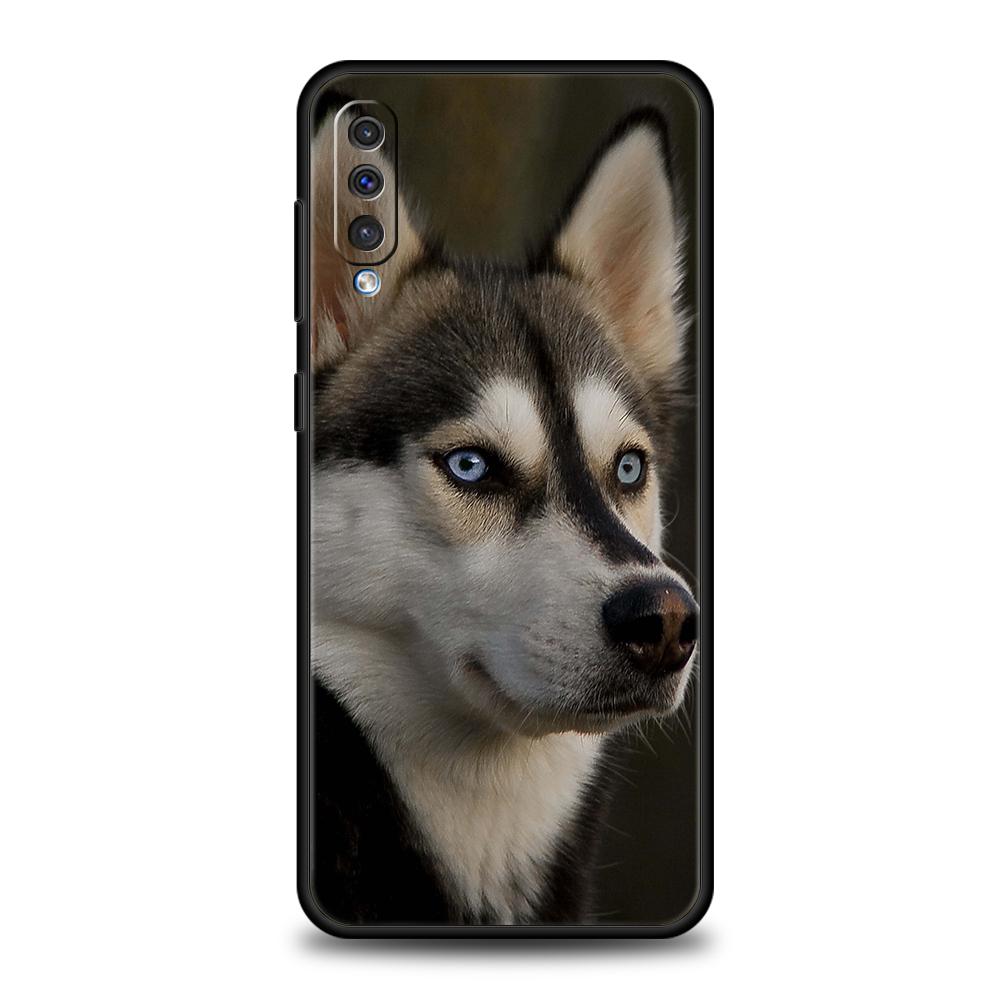 Siberian Husky Sled Dog Phone Case for Samsung Galaxy A24 A13 A53 A73 A33 A22 A12 5G A02 A03 A70 A50 A10 A20 A30 Silicone Cover