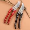 Floral Art Fruit Tree Pruning Shears - Specialized Garden Scissors for Branches and Flowers
