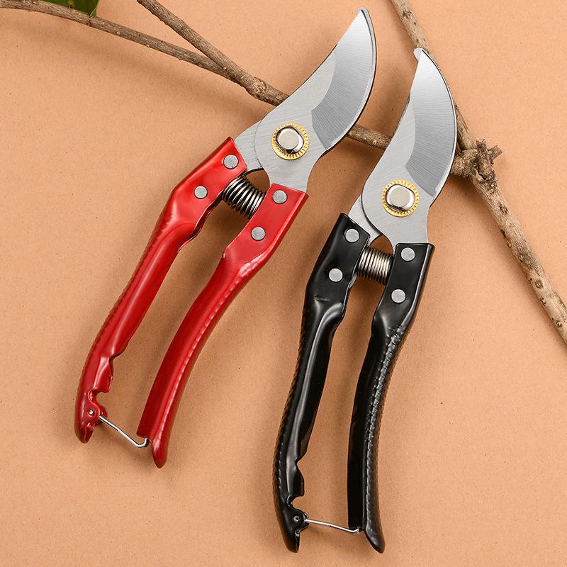 Floral Art Fruit Tree Pruning Shears - Specialized Garden Scissors for Branches and Flowers