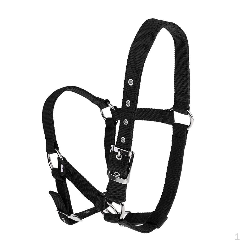 

3 Color Equestrian Western Adjustable Nylon Straps Black L