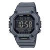 Series Black LED Illuminator Digital AE-1600H 10-Year Watch, Gray, AE1600H-8BV
