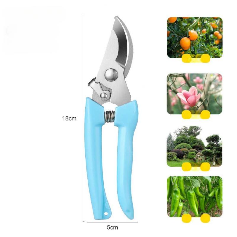 Beskjæringssaks Hagesaks Hage Albue Rett Hode Hage Plukking Fruktsaks Fjær Håndverktøy