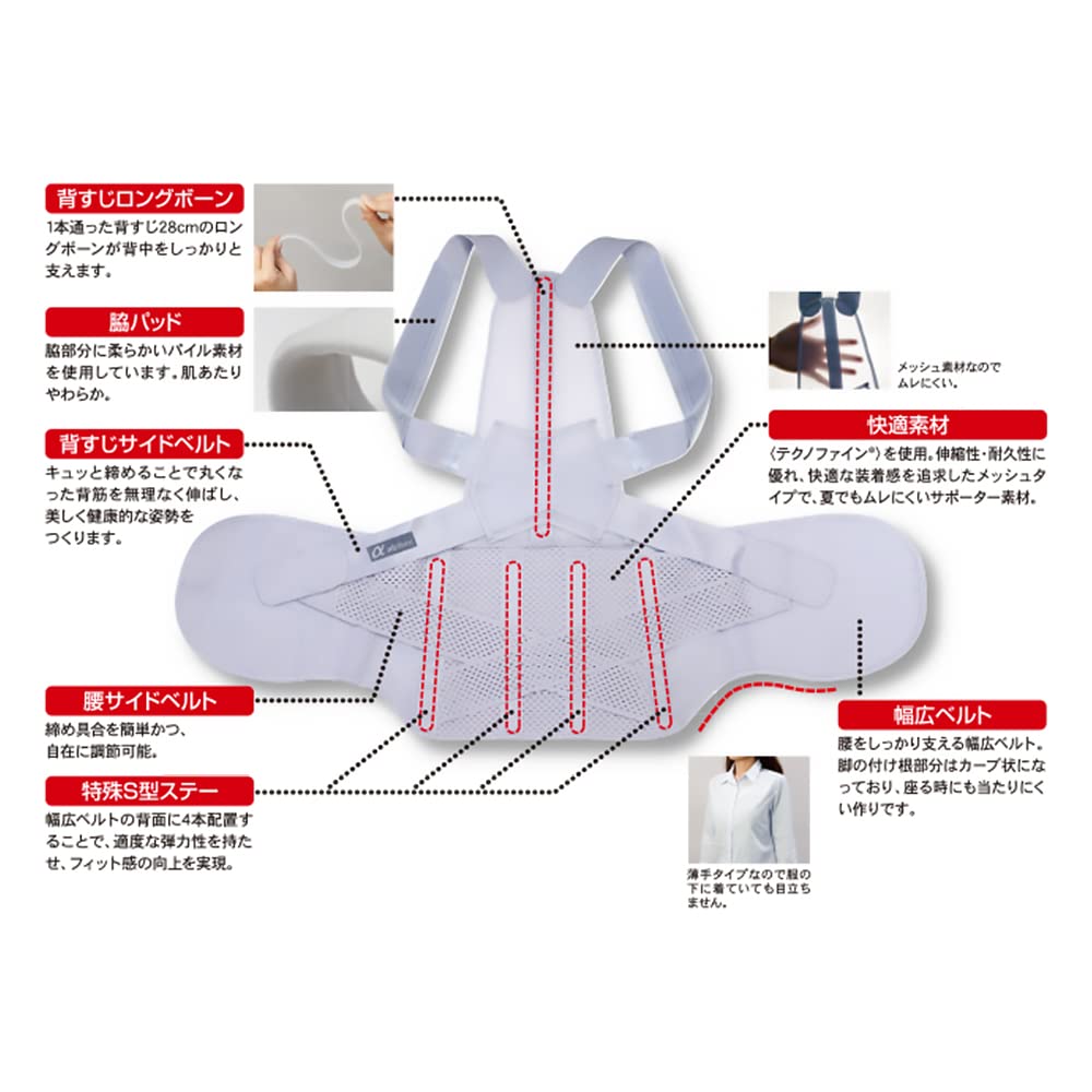 Alphax Posture Supporter, Posture Belt, Back Support, Made In Japan, Doctor's Waist Correction Belt, Sizes M-L