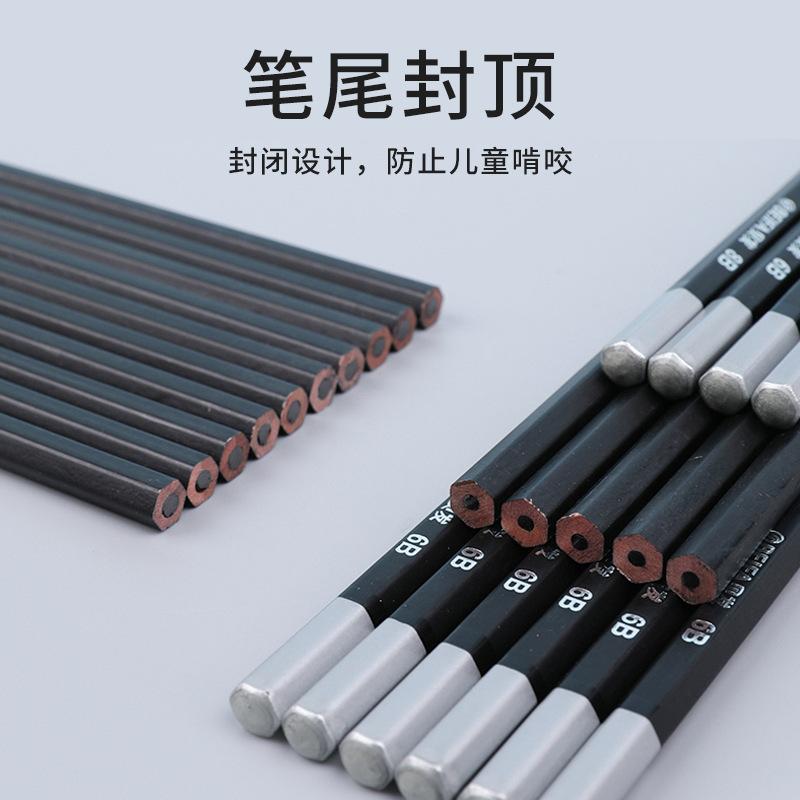 Beifa Professionelles Skizzenstift-Set: 12 HB-8B für Kunststudenten