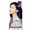Flower-Holding Man Clinic Gray Hair Dye 6 Pcs B4 Blue Black