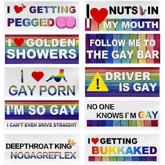 10 PCS Car Funny LGBT Stickers, Waterproof Prank Rainbow Bumper Stickers With Humor Text, Universal Colorful Gay Pride Decals For Vehicle Luggage