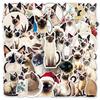 50 Cute Siamese Cat Stickers: Waterproof, Cartoon Pet Decorations for Cups and Journals