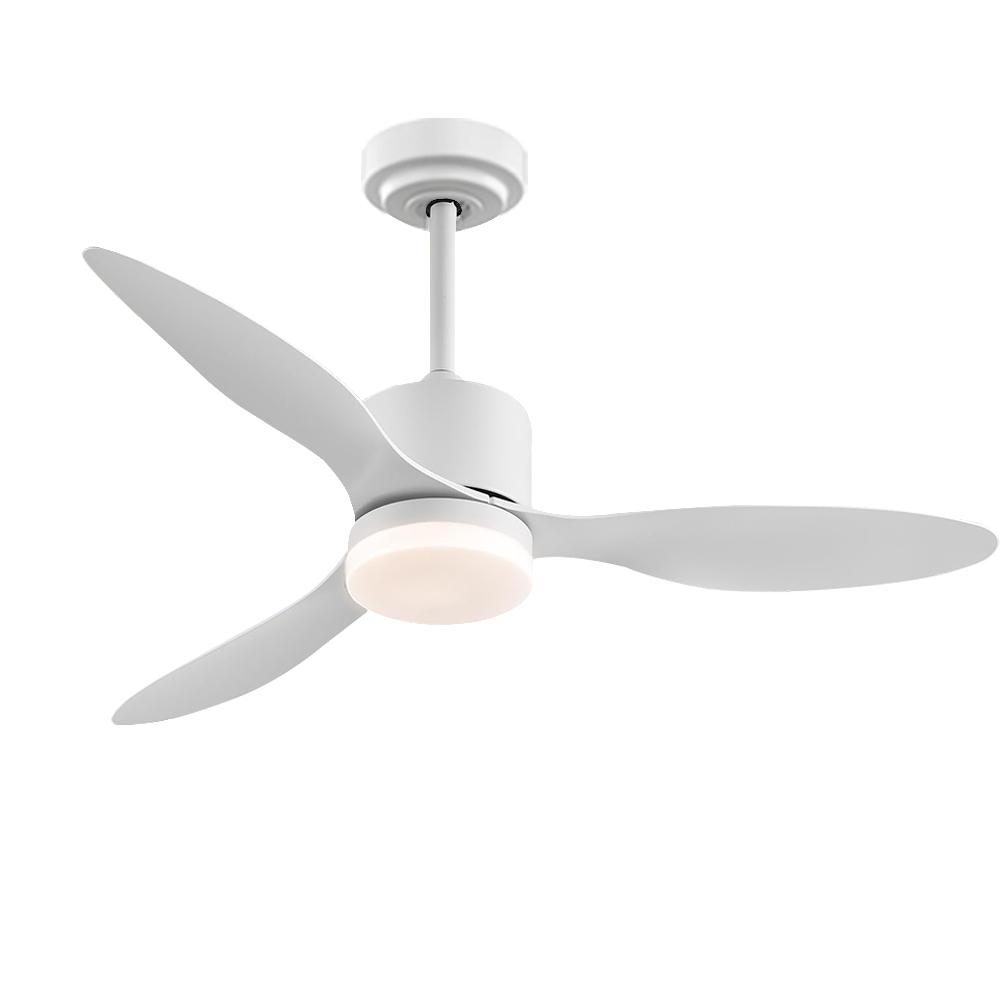 Ceiling Fans with Lights and Remote 52 Inch Quiet Reversible DC Motor Ceiling Fan for Bedroom Living Room Easy to Install