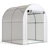 Walk In Polytunnel Greenhouse, Green House for Garden with Roll-up Window and Door, 1.8 X 1.8 X 2 M, White