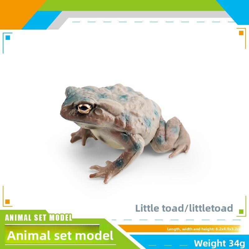 Kids Wild Animal Pvc Statues With Replication Of Tree Frog And Toad Models For Classroom Learning Small Toad