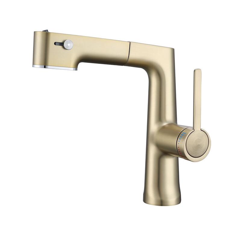 TLXT Cold and Hot Water Basin Faucet