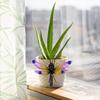 3pcs Planter Decorations Dragonfly Pot Hanger Colorful Gradient Glass Wings Rustproof Metal Planter Decor with Spring
