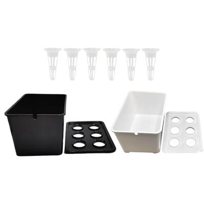 Kit per sistema di coltivazione idroponica a 6 fori, sistema di germinazione, box di coltivazione per ortaggi, fiori e frutta, per interni ed esterni.