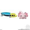 Genuine CANDY TOY Figure Small Scale Model Handheld Little Cute Friend Cynops Eublepharis Macularius Action Figure Model Toys
