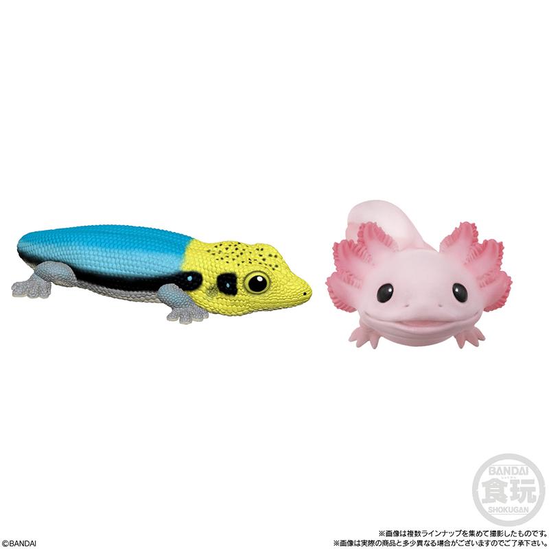 Genuine CANDY TOY Figure Small Scale Model Handheld Little Cute Friend Cynops Eublepharis Macularius Action Figure Model Toys