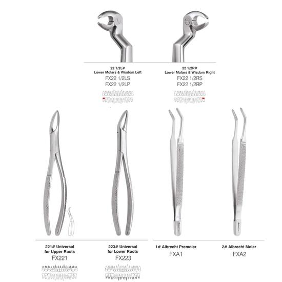 GDC Extraction Forceps Special Wisdom Routrier