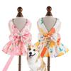 Cute Dog Dress Summer Outdoor Activities And Leash Set with Bowknot Decoration Pet Cat Princess Dress for Spring